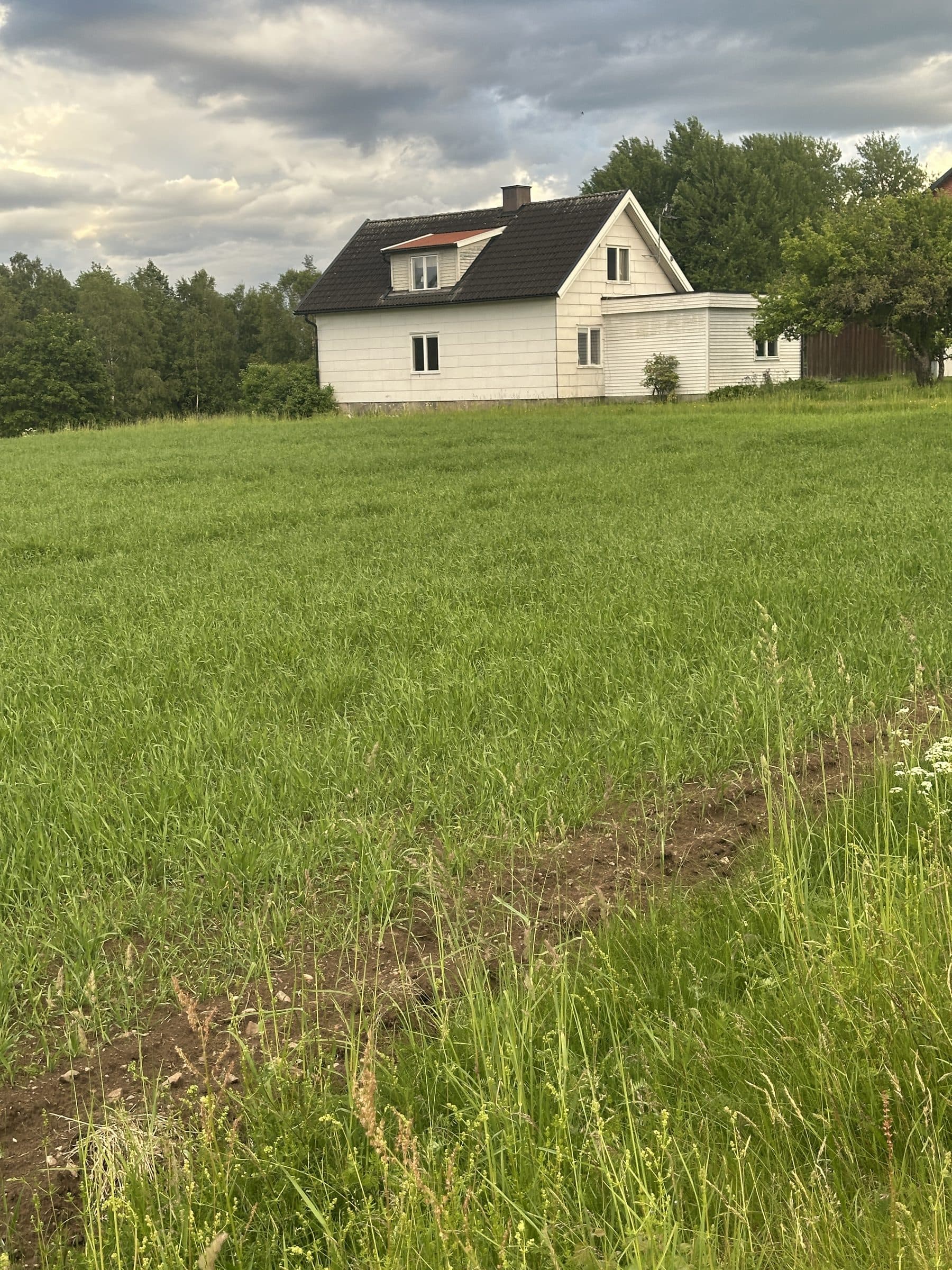 Gården sedd över det gröna fältet
