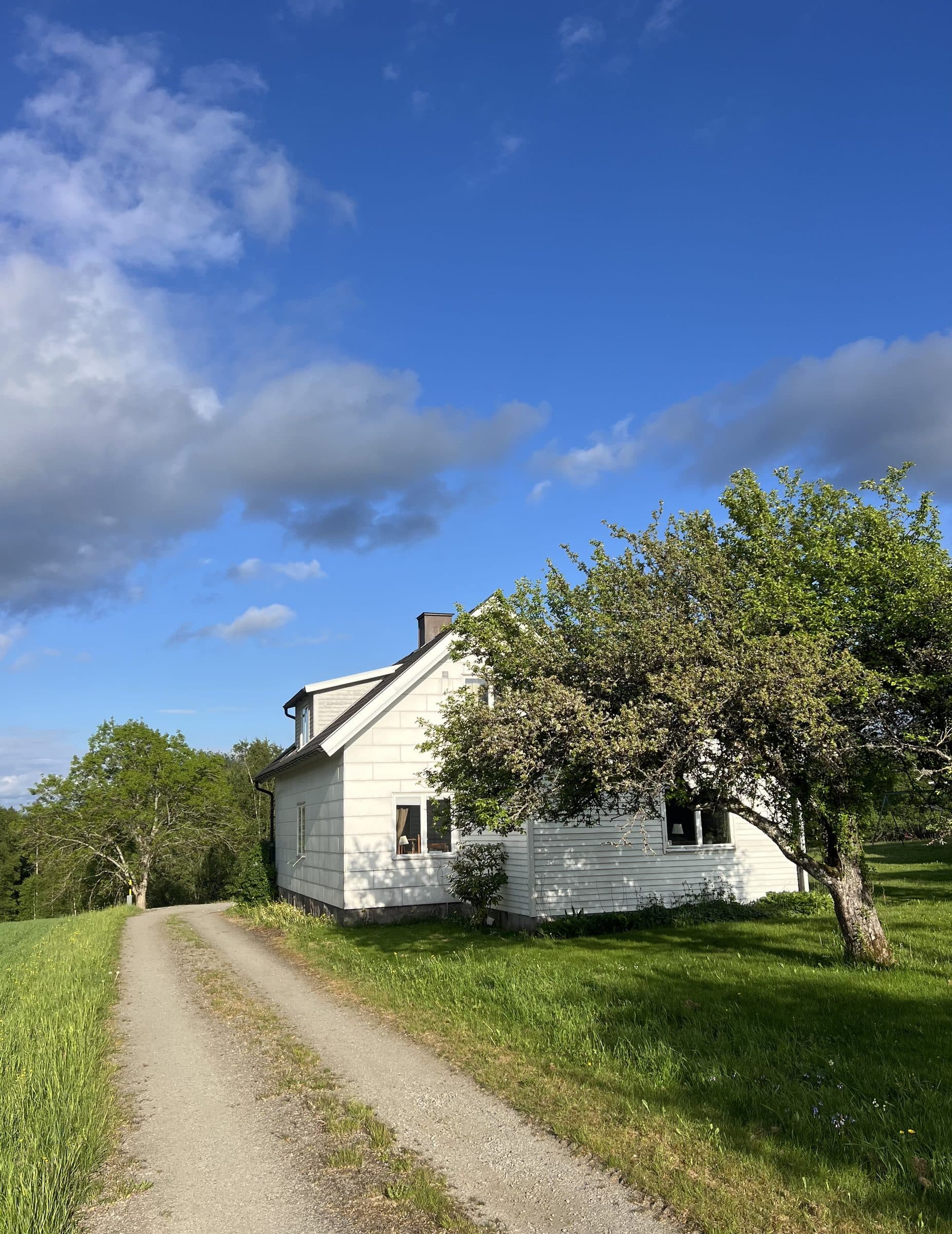 Grusvägen upp till Lillstugan en solig sommardag