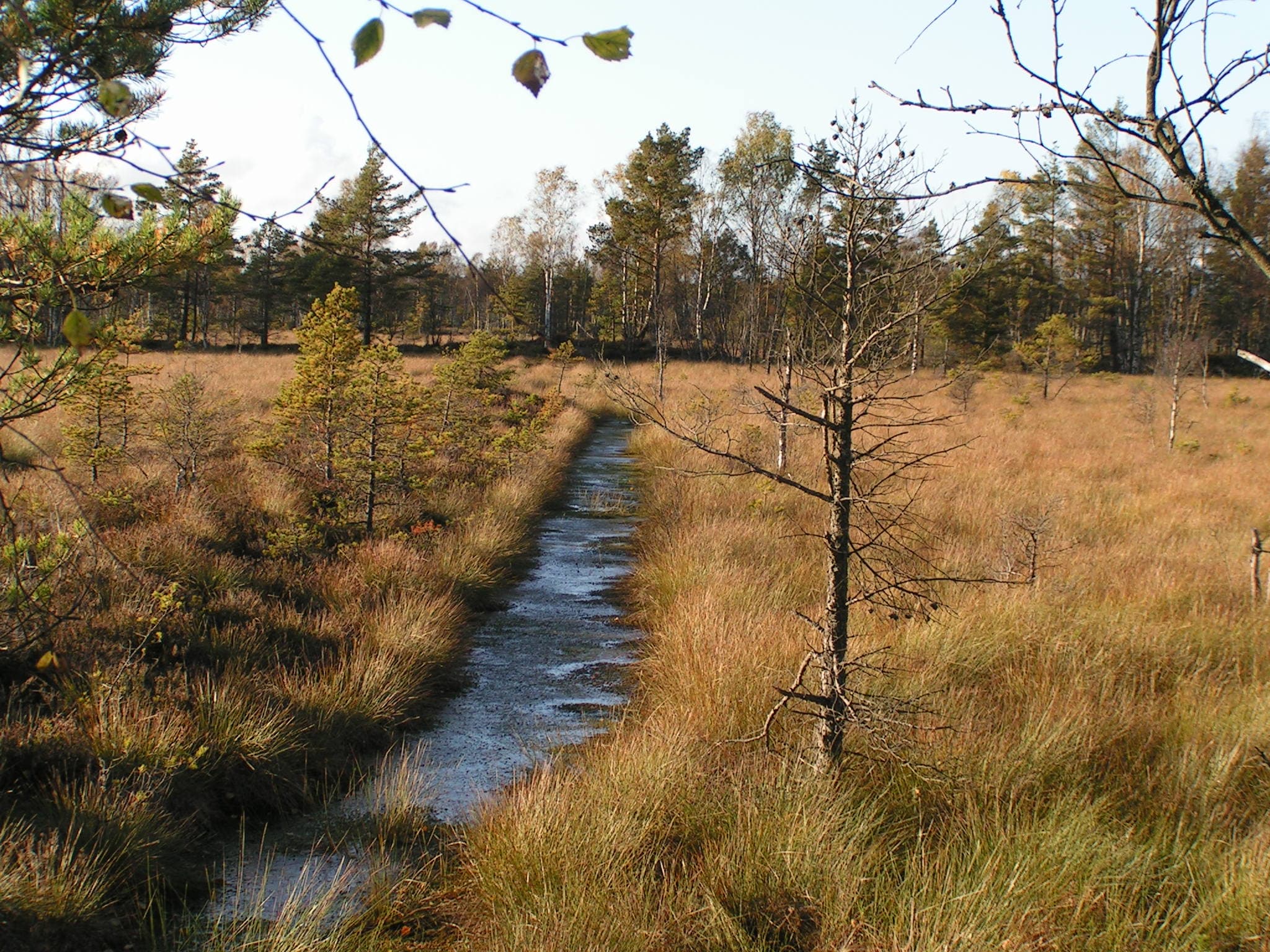Store Mosse Nationalpark